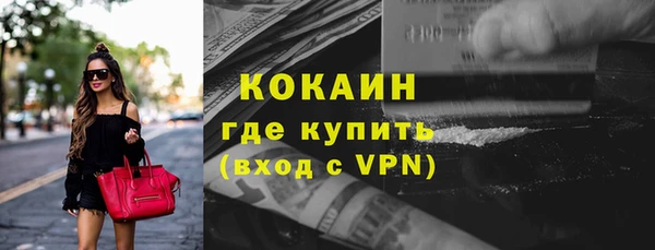 шишки Богородск