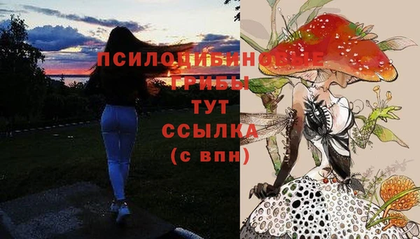 дистиллят марихуана Богородицк