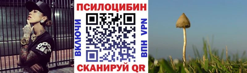 Купить закладки  Хилок  Галлюциногенные грибы Psilocybine cubensis 